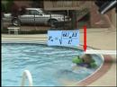 Diving Board Diving Board
