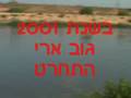 מטש יבנה 2008 מסריח ועולה על גדותיו