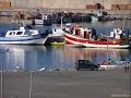 algeria,jijel,taher,ouled askeur,texanna,ziama mansouria,cavalo....