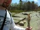 Atop Mount Cadillac