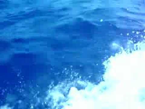 Brize Dive Ascension Island 2008
