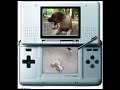 Nintendogs Versión Quiltro