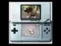 Nintendogs Versión Quiltro