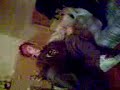 Tom is.. Drunk ? o.O