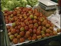 CULTIVO ORG�NICO DE TOMATE, PIMENT�O, AB�BORA E PEPINO