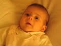 Huil baby stopt met huilen door Raimond Lap\