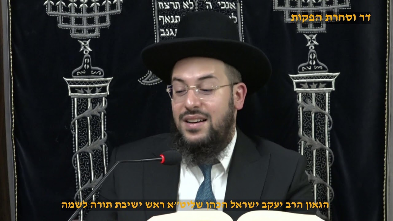 איך יוצאים מקשיי החיים  הגאון הרב יעקב ישראל הכהן שליט"א  ראש מוסדות ישמח ישראל  פרשת ויצא תשפ"ו