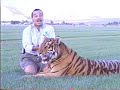 Mustafa, Bengal Tiger