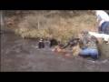 SWINE STOPPERS DVD PREVIEW