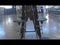 Paco Rides a Table