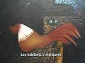 LA HAVANE: UTOPIE EN CONCTRUCTION - REABILITACIÓN HABANA VIEJA CUBA