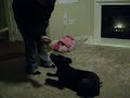 See what I can Do??