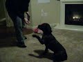 See what I can Do??