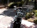harley davidson fat bob