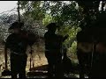 Huapango El Queretano con Los Realesde Colima