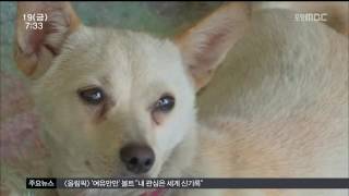 뉴스투데이
