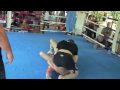Nevertap Asia 2010 – Middleweight – Match 6
