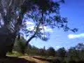 woodsidebmx bikecam3
