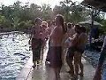 Mycho Cocoa HEMF Pool party Mycho Cocoa HEMF Pool party