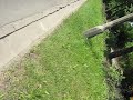 Relacja z Alei Unii Lubelskiej w ?odzi Relacja z Alei Unii Lubelskiej w ?odzi