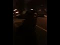 Click here to watch this video Dark Chillin
