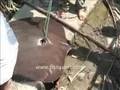 Fish Siam freshwater stingray fishing with National geographic and Zeb Hogan