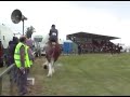 New Deer Show 2007 New Deer Show 2007