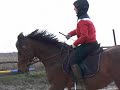cvaliiik
