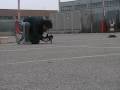videos de Botto Explosivo 