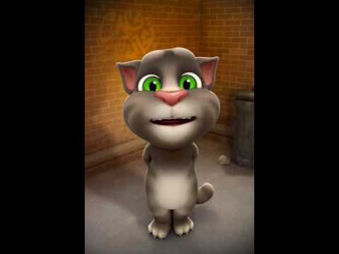 No quiere enamorarse ( Osuna) del gato tom