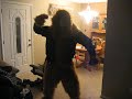 jeff monkey