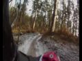 cannock chase