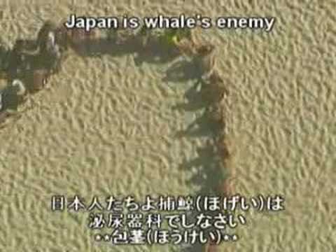  is whale's enemy
