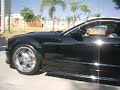 mustang vs mustang mustang vs mustang