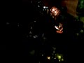 LADY NIGHT - MOVIDA 08-11-07