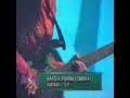 Rahsia Pohon Cemara Rahsia Pohon Cemara
