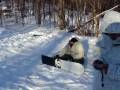 videos de Snowboard no Quintal - Killington 08/09