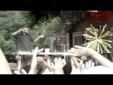 Repta - Animales y Reptiles