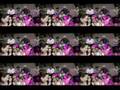 videos de Repta - Animales y Reptiles