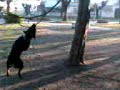 fidel en la plaza 3