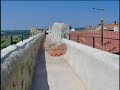 San.Bruzio Magliano Tosc