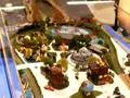 Karin's Dizzyland at NMRA NTS 2008