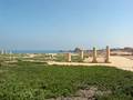 Mediterranean Sea