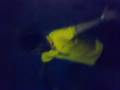 videos de JoseVivar parte 2