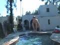 videos de lil pool vid