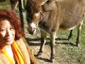 Lorena, burro and llama