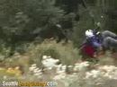 Bad launch - Tree hugging hippie!