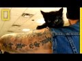 Rescue Ink Unleashed on Nat Geo