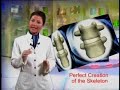 PERFECT CREATION OF THE SKELETON -2- PERFECT CREATION OF THE SKELETON -2-