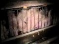 The Truth about the Meat Industry - Part 1